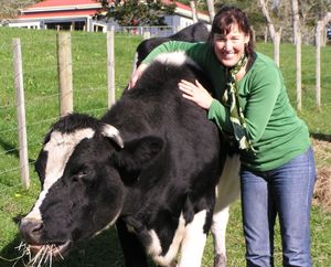 cow3