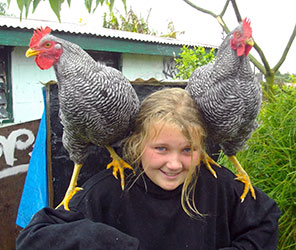 roosters-puff--tony-on-shoulder-lesleyann-w