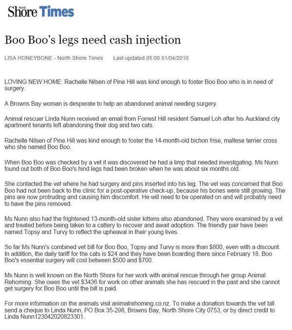 201000401_bobo_1st_article