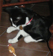 mr-personality--toy-new-home