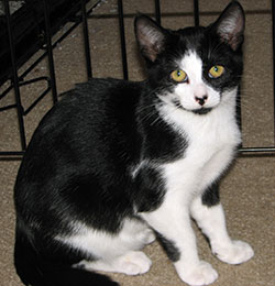 mr-personality-sitting