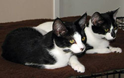 mr-personality-with-jack