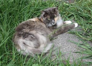 sophie relaxing