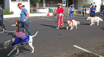 browns-bay-xmas-parade-7.12