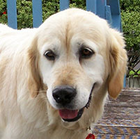 chanella-face-new-home