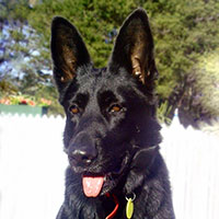 ruby-face-mike-e-large