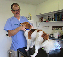 buddy-vet-check