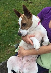 bronxy-linda-tummy-cuddles-3