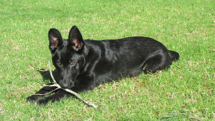 niki-enake-in-grass-new-home