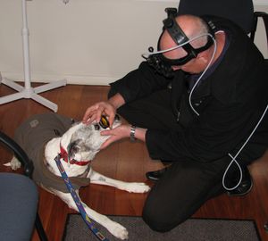 victor  peter eye exam