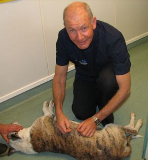 victors stitches removed kevin