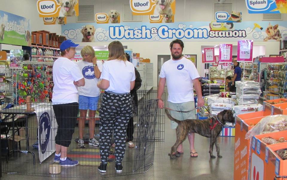 Adoption & Awareness Day