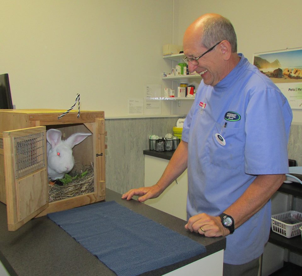 animal rehoming