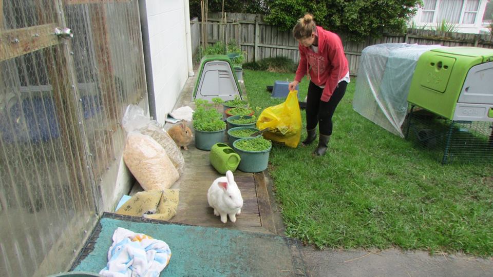 Volunteers at work