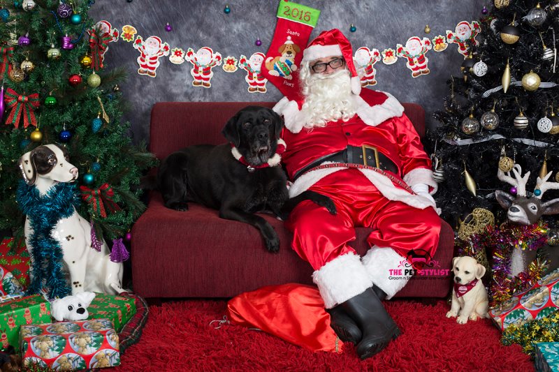 Thank you to Sonia at The Pet Stylist